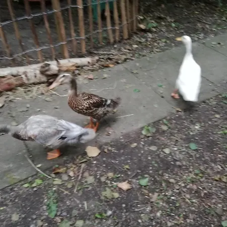 Huettli Prázdninový areál