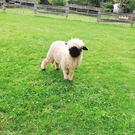 Prázdninový areál Huettli