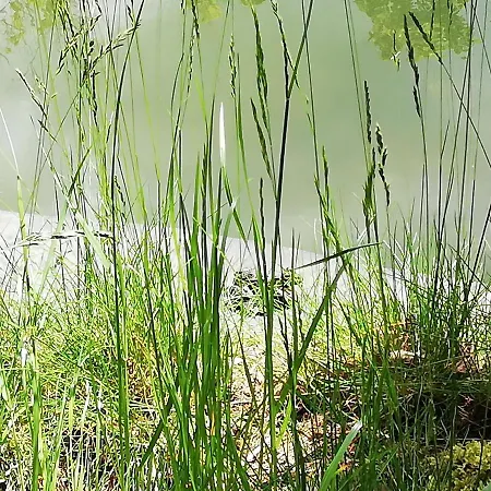 Huettli Rehburg-Loccum