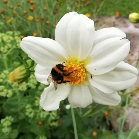 Prázdninový areál Huettli