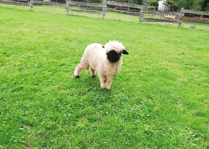 Parco vacanze Huettli