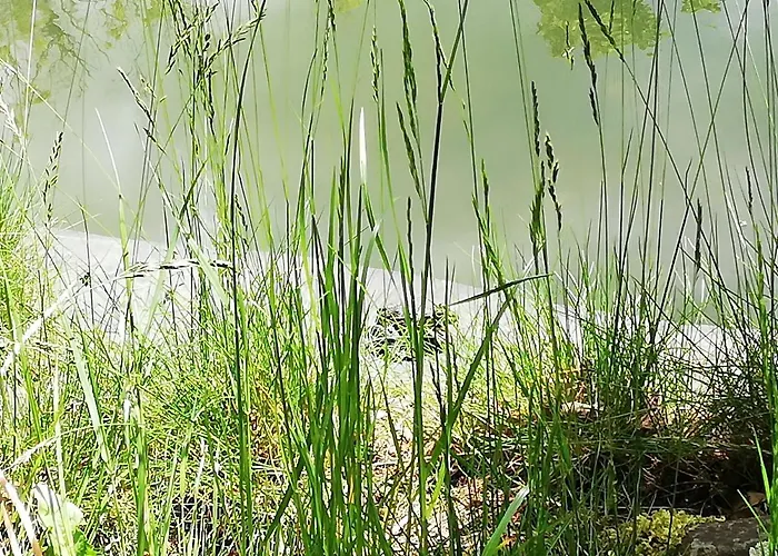 Huettli Rehburg-Loccum